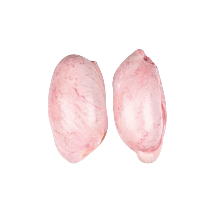 Untitled design - 2025-11-04T005352.562 Untitled design - 2025-11-04T005352.562