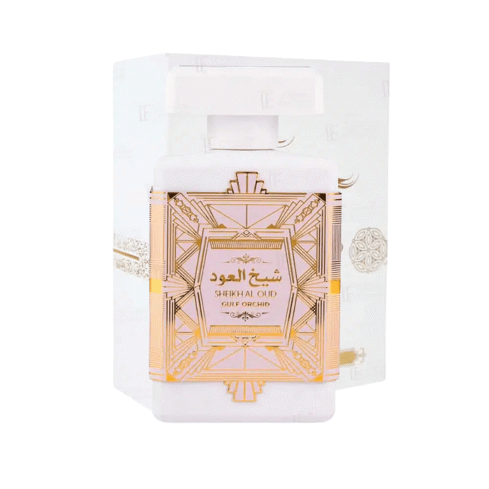 Damasco - 2025-11-08T000931.805