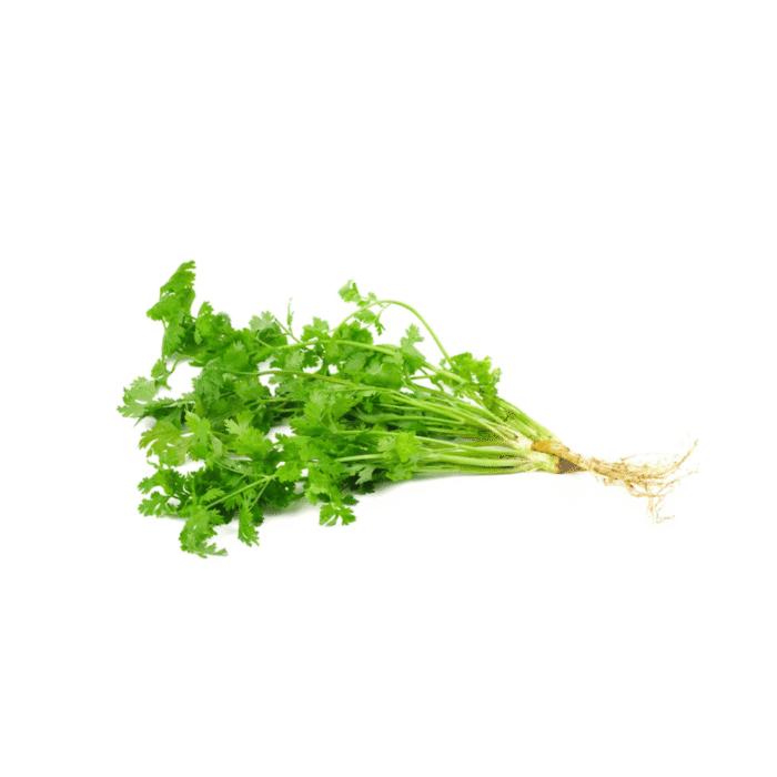 Damasco - 2025-11-11T183144.134